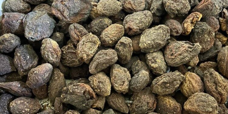 Yaşı 100 Kurusu Bin Liraya Satılıyor! Üretici İçin Altın Değerinde