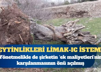 Zeytinlikleri Limak-IC istemiş: Üstüne bir de ek maliyet kıyağı