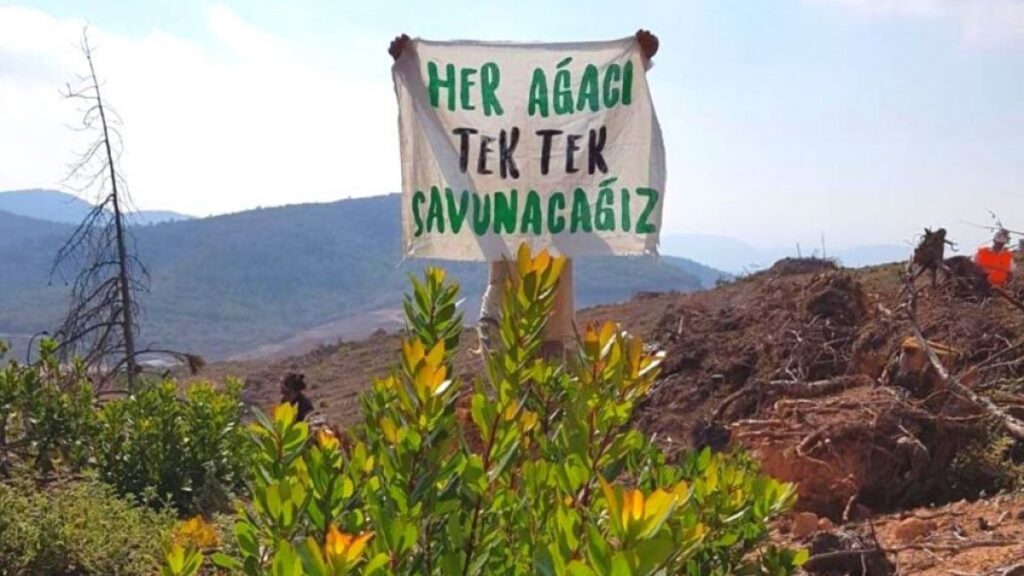 Zeytinlikleri maden talanına açan teklif komisyonda kabul edildi