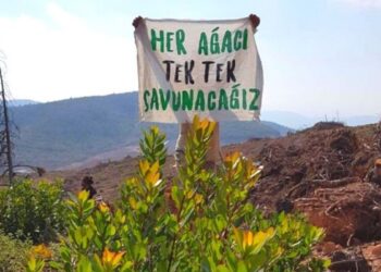 Zeytinlikleri maden talanına açan teklif komisyonda kabul edildi