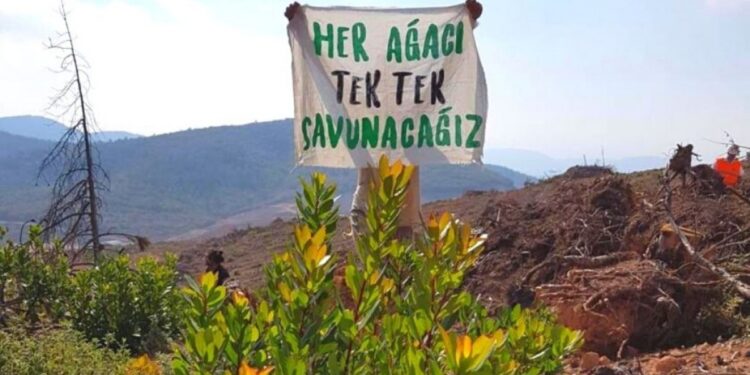 Zeytinlikleri maden talanına açan teklif komisyonda kabul edildi