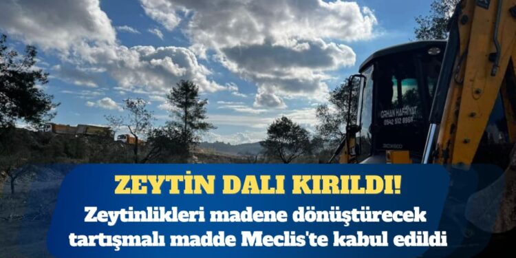 Zeytinlikleri madene dönüştürecek tartışmalı madde Meclis’te kabul edildi