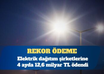 Elektrik dağıtım şirketlerine 4 ayda 12,6 milyar TL ödendi