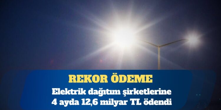 Elektrik dağıtım şirketlerine 4 ayda 12,6 milyar TL ödendi
