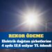 Elektrik dağıtım şirketlerine 4 ayda 12,6 milyar TL ödendi