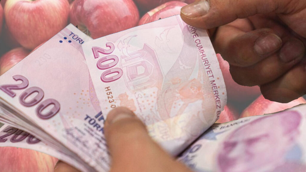 1 kilo elma bile alamıyoruz