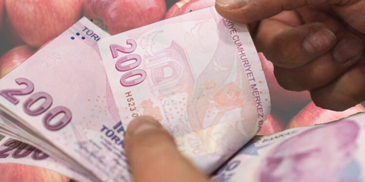 1 kilo elma bile alamıyoruz
