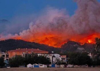 İHD: Yangına geç müdahale ihlallere yol açtı