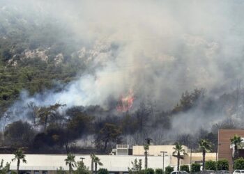 AFAD: Yangın mağdurlarına 162 bin lira destek verilecek