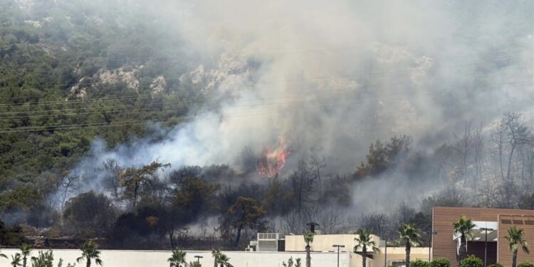 AFAD: Yangın mağdurlarına 162 bin lira destek verilecek