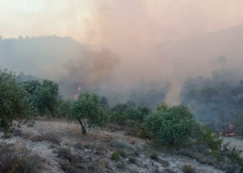 Antakya’da yangın sürüyor: 500 kişi tahliye edildi