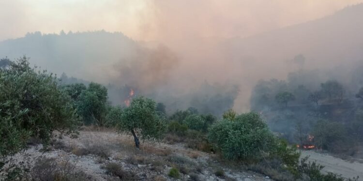Antakya’da yangın sürüyor: 500 kişi tahliye edildi