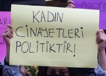 Leyla Dolaş’ı katleden fail tutuklandı