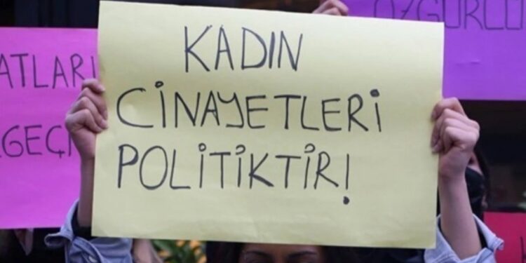 Leyla Dolaş’ı katleden fail tutuklandı