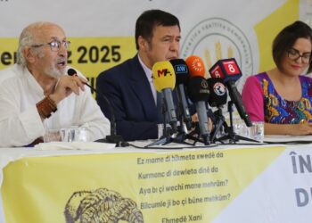 ‘Kimse Kürtleri hesaba katmama gibi bir lükse sahip değil’