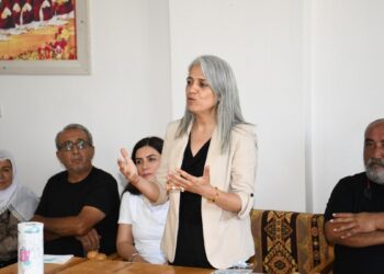 Çiğdem Kılıçgün Uçar: Kürtler ve Aleviler sorun değil, hakikattir