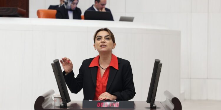 DEM Parti’den AİHM kararına dair açıklama