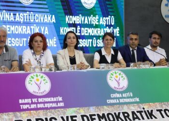 Tülay Hatimoğulları: Türkiye halkları görüntüyü dört gözle bekliyordu