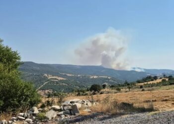 Balıkesir’de orman yangını