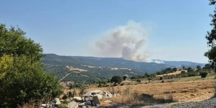 Balıkesir’de orman yangını