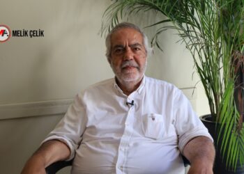 Altan: 100 yıllık derin sorun demokratikleşme ile çözülebilir