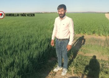 Vasi olmak isterken kendisine vasi tayin edildi, hayatı felç oldu