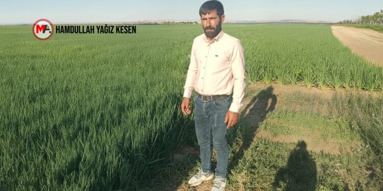 Vasi olmak isterken kendisine vasi tayin edildi, hayatı felç oldu