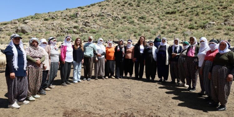 Tiloran Yaylası’nda ‘Demokratik Toplum’ buluşması