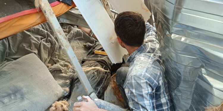 Vinçten üzerine palet düşen işçinin hayati tehlikesi sürüyor