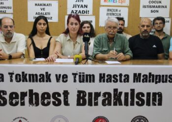 İnsan hakları ve hukuk örgütlerinden Fatma Tokmak için çağrı