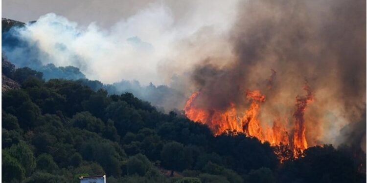 Yangınlar nedeniyle Gediz Elektrik hakkında suç duyurusu