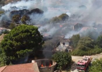 İzmir ve Manisa’da orman yangınları