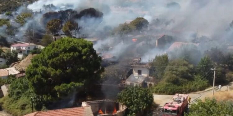 İzmir ve Manisa’da orman yangınları