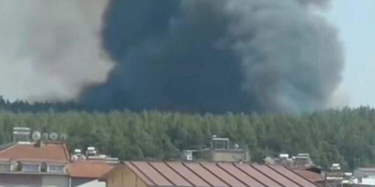 İzmir’de orman yangını: 5 ev tamamen yandı