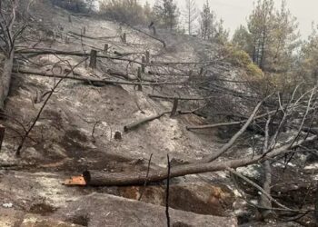 Sakarya yangını söndürüldü