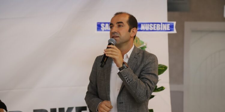 DBP Eş Genel Başkanı Bayındır: Kürtler statü kazanmaya yakın