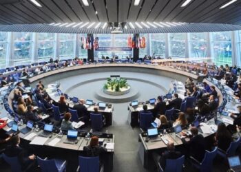 Avrupa Konseyi’ne ‘umut hakkı’ için uluslararası hukuki bildirim