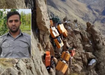 İran güçleri bir kolberi katletti