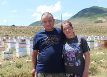 Antalya’dan Gimgim’e arıcılık için geldiler