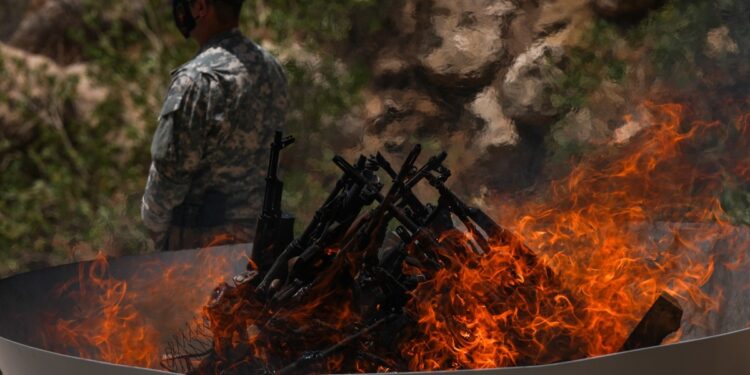 Saliha Aydeniz: Silahların yakılması yeni bir mücadelenin başlangıcı