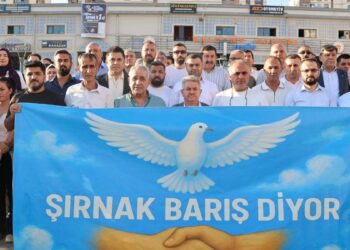 Şirnex’te 55 STÖ’den barış sürecine destek: Bu tren kaçmamalı