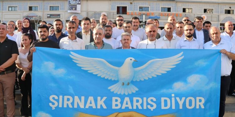 Şirnex’te 55 STÖ’den barış sürecine destek: Bu tren kaçmamalı