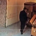 Cizîr’de tıbbi malzemenin çalınmasının üstü kapatılmak isteniyor