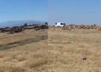 Yangın çıkar diye girişe kapatılan ormanlarda korucular kesim yapıyor