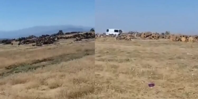 Yangın çıkar diye girişe kapatılan ormanlarda korucular kesim yapıyor