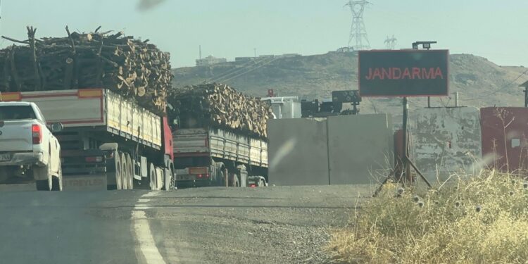 Gabar’da kesilen ağaçlar TIR’larla askerlerin gözetiminde taşınıyor