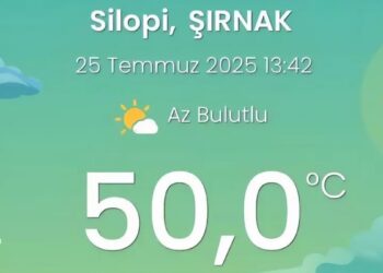 Ağaç katliamının sürdüğü Silopiya’da sıcaklık rekoru kırıldı