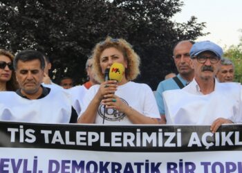 KESK Riha’dan TİS protestosu