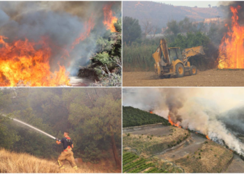 3 ilçede alevlerle mücadele devam ediyor