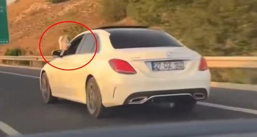 Ayakları dışarıda araç kullanan kişi, başsavcının oğlu çıktı